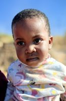 Kleine Besucherin an den Bourke´s Luck Potholes