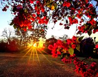Fantastischer Sonnenuntergang in Hazyview, nahe des Kruger Nationalparks