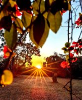 Kitsch pur und typisch Afrika, Sonnenuntergang bei Hazyview