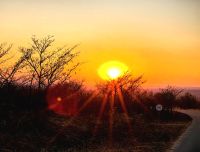 Wir starten unsere Pirschfahrt ganz früh am Morgen