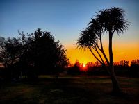 Kitsch pur am Addo Elephant Park