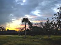 Ein neuer Tag beginnt nahe des Addo Elefant Parks 