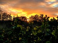 Morgengrauen am Addo Elephant Park