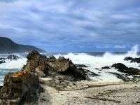 Wild peitscht der Indische Ozean im Tsitsikamma Nationalpark