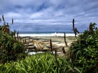 Blick auf eine der Buchten des Tsitsikamma Nationalparks