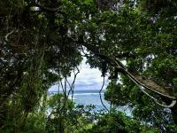Faszinierender Blick auf den Indischen Ozean im Tsitsikamma Nationalpark
