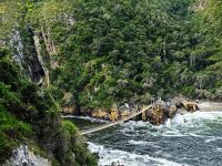 Die Suspension Bridge im Tsitsikamma Nationalpark