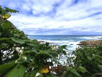 Im Tsitsikamma Nationalpark