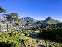 Tafelberg und Lion´s Head und Blick auf Kapstadt