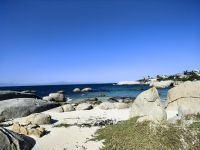 Am Boulders Beach
