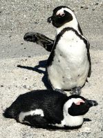 Hier werden Armübungen gemacht 