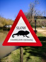 Auf dem Weingut Jordan bei Stellenbosch