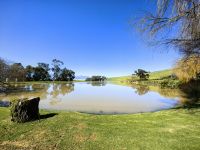 Traumhaft gelegenes Weingut Jordan in Stellenbosch