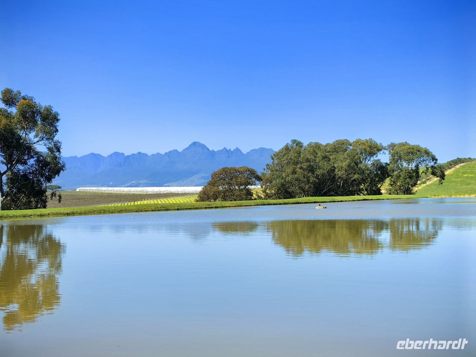 Landschaft bei Stellenbosch