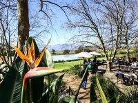Im Weingut Jordan bei Stellenbosch kann man einen gemütlichen Sonntag verbringen