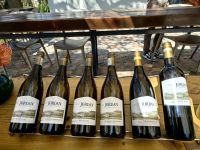 Etliche der Jordan Weine haben Preise gewonnen