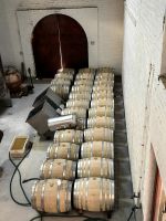 Im Weinkeller Jordan bei Stellenbosch reifen die leckeren Tropfen heran