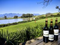 Wir verkosten die edlen Tropfen des Weingutes Jordan bei Stellenbosch