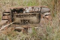 Wanderung zum Mushroom Rock-Pilzfelden