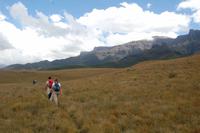 Hochebene in der Cathedral Peak-Region