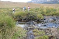 Hochebene in der Cathedral Peak-Region