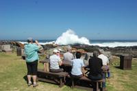 Picknick im Tsitsikamma-Nationalpark