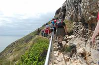 etwas steiniger Wanderweg entlang der Steilküste Robberg-NP
