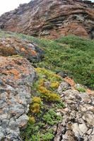 Farbenspiel der Natur auf Robberg