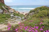 Farbenspiel der Natur auf Robberg