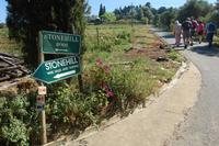 Devon Valley Vineyard