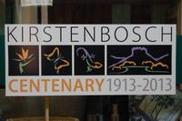 Kirstenbosch - botanischer Garten Kapstadt