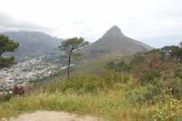 Blick auf den Lions Head und Kapstadt