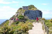 Wanderung am Kap der guten Hoffnung