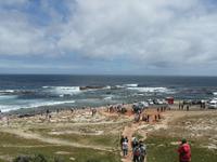 Kap der guten Hoffnung: Touristen strömen zum südlichsten Punkt