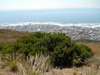 Kapstadt (Ausblick vom Signal Hill)
