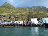 Hout Bay (Schifffahrt zu einer Robben-Kolonie)