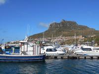 Hout Bay (Schifffahrt zu einer Robben-Kolonie)