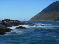 Hout Bay (Schifffahrt zu einer Robben-Kolonie)