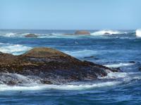 Hout Bay (Schifffahrt zu einer Robben-Kolonie)