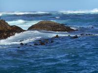 Hout Bay (Schifffahrt zu einer Robben-Kolonie)