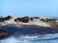 Hout Bay (Schifffahrt zu einer Robben-Kolonie)