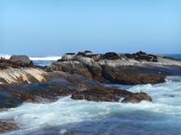 Hout Bay (Schifffahrt zu einer Robben-Kolonie)