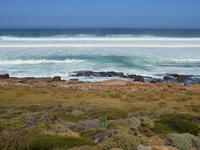 Chapman´s Peak Drive