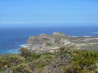Cape Point (Wanderung zum alten Leuchtturm)