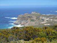 Cape Point (Wanderung zum alten Leuchtturm)