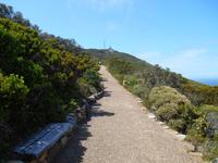 Cape Point (Wanderung zum alten Leuchtturm)