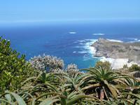 Cape Point (Wanderung zum alten Leuchtturm)