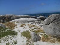 Boulders Beach bei Simon’s Town - Heimat der Brillenpinguine