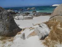 Boulders Beach bei Simon’s Town - Heimat der Brillenpinguine