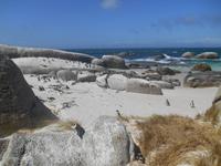 Boulders Beach bei Simon’s Town - Heimat der Brillenpinguine